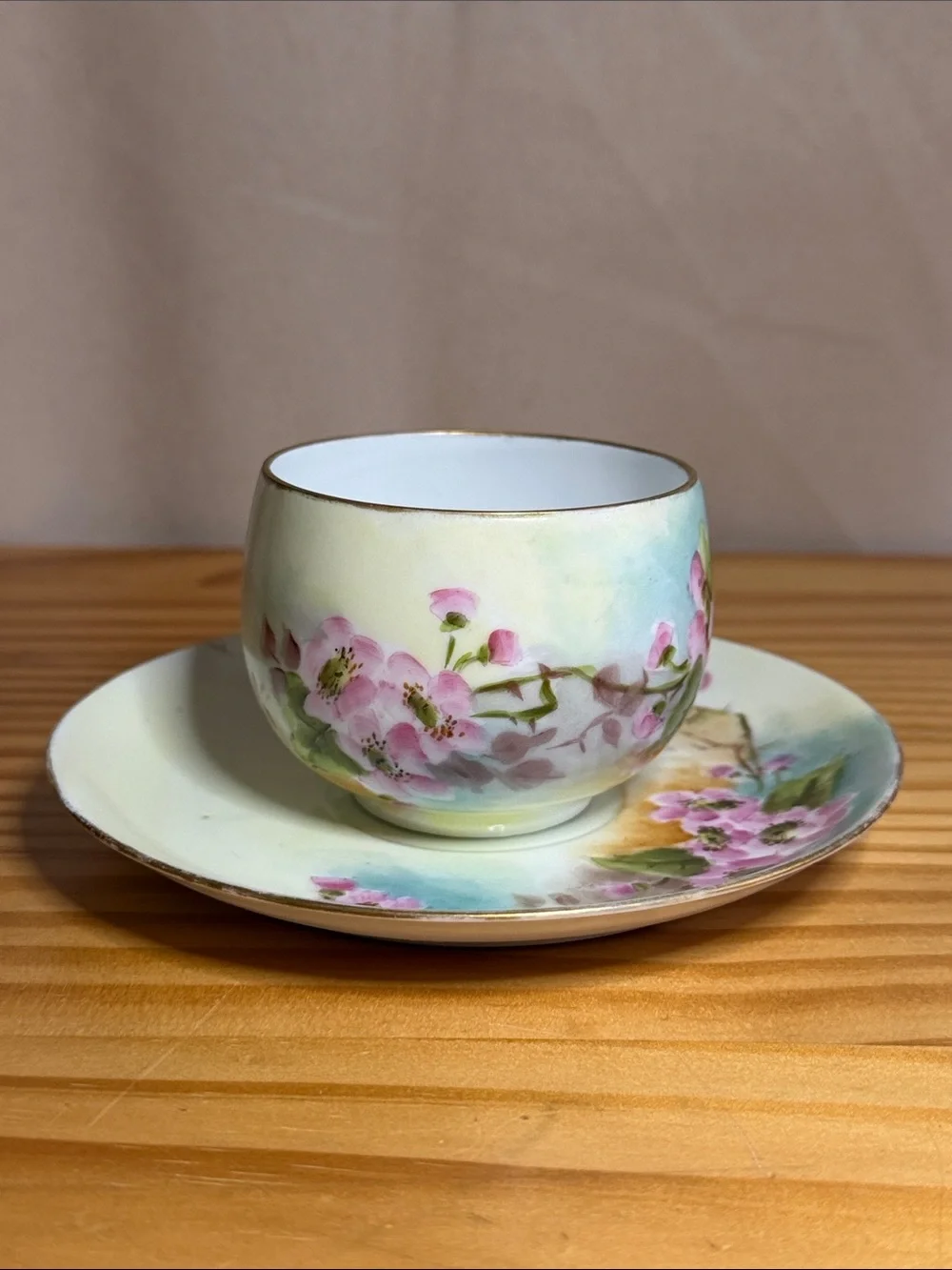 Antique Rosenthal Bavaria Hand Painted Teacup Saucer Set